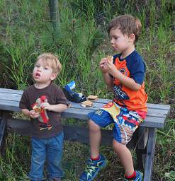 Picnic