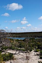 Fitzgerald NP 