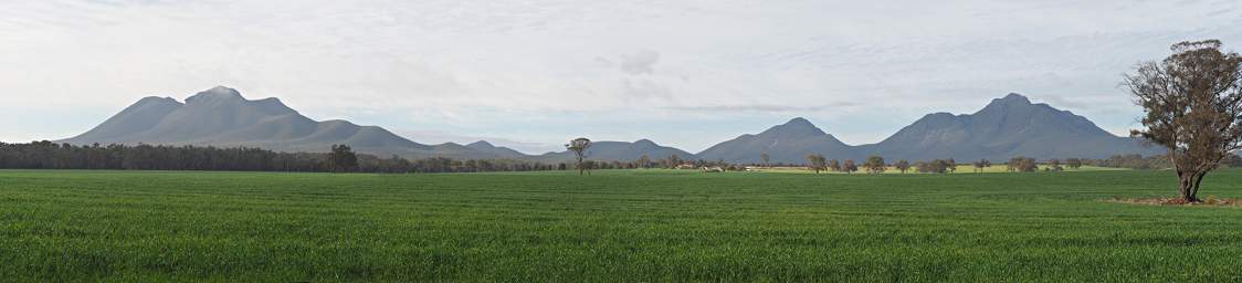 Stirling Rng NP