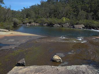 Wellington NP