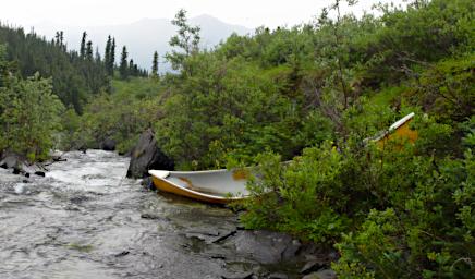 Wrecked Canoe