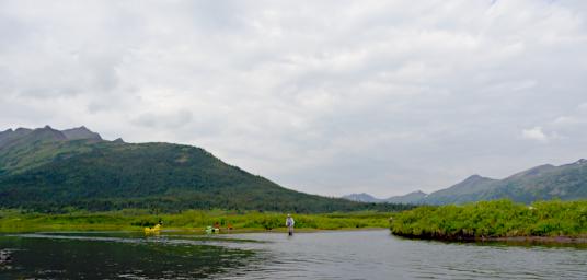 Stikine_0143_20190710