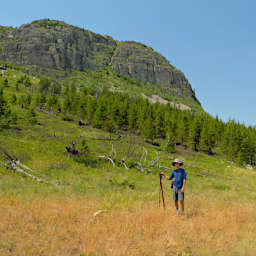 Fork in the Trail