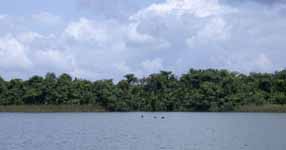 Rio Chacón Machaco Entrance