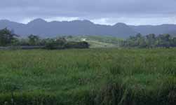 Farm, Rio Chacón Machaca