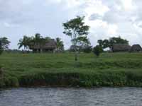 Farm, Rio Chacón Machaca