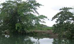 Harvested Field, Rio Chacón Machaca