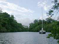 Malakii in Jungle, Rio Chacón Machaca