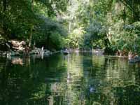 Bathing Spot, Rio Titan