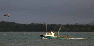 Fishing Boat