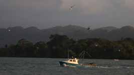 Fishing Boat