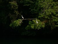 Sailing on Malakii in Belize and Guatemala