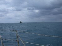 Queen Cay south