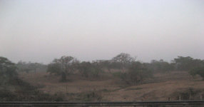 Mexican countryside, dry scrubby trees