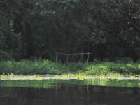 Primitive camp, Rio Zarquito