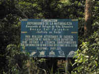 Polochic sign