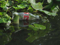 Plastic coke bottle floating in water