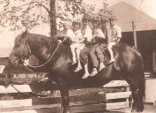 Five kids on horse, including Aunt Lynn, Dad, and George