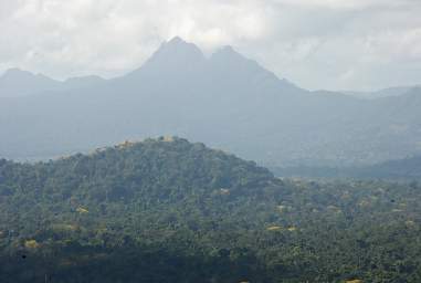 Bens Bluff Mt Victoria