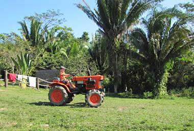 Noah Tractor