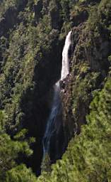 Pine Ridge 1000Ft Falls