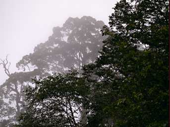 Crocker Range