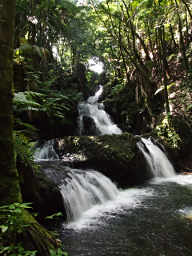 Onomea Falls