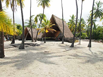 Canoe thatched building