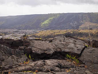 View from Chain of Craters Road