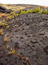 Pu'uLoa Petroglyphs