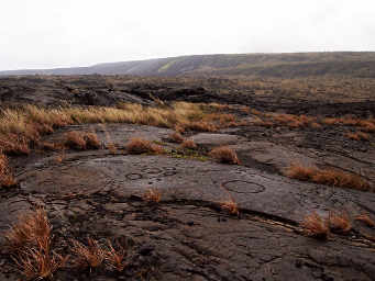 Pu'uLoa Petroglyphs