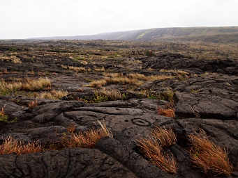 Pu'uLoa Petroglyphs