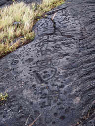 Pu'uLoa Petroglyphs