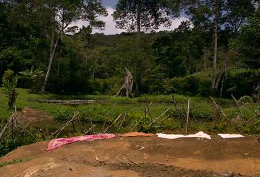 Clothesline