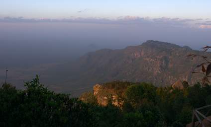 Usambara Mts.