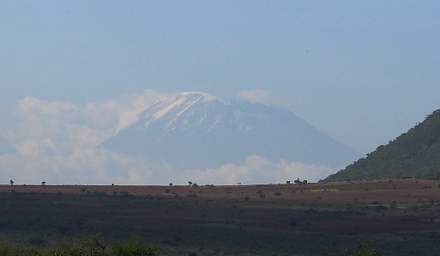 Kilimanjaro