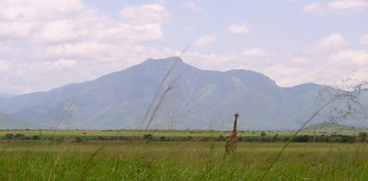 Mkomazi