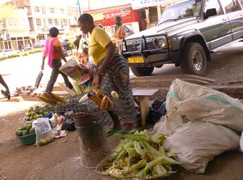 Street Vendor