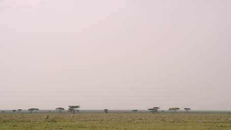 Ndutu