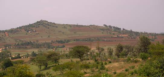  Crater Area Farmland