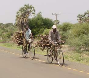  Firewood Bicycles