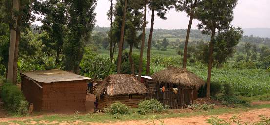  Subsistence Houses