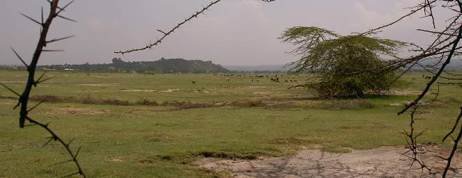  Community Overgrazing