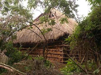  New House Encroaching