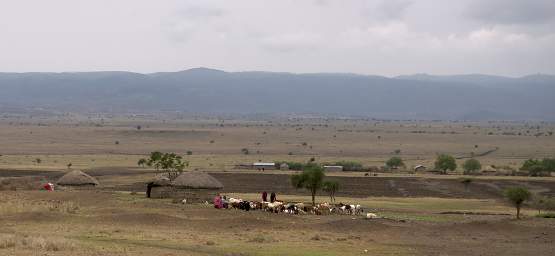 Masai Steppe