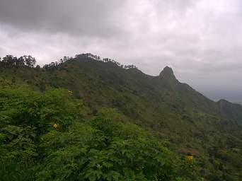 Usambara Mts Plains Ridge