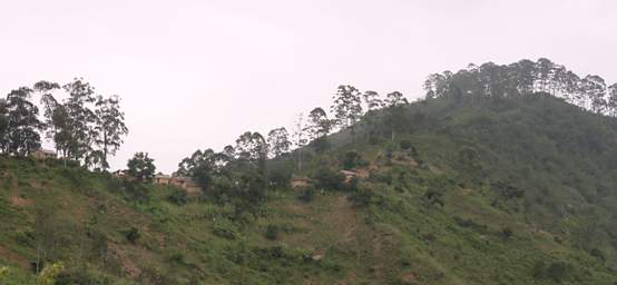 Usambara Mts Plains Ridge Houses