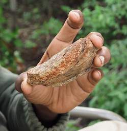 Hadza Gambling Piece