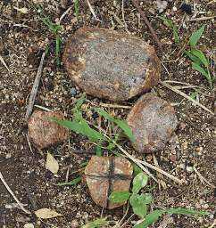 Hadza Gambling Pieces