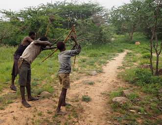 Archery Contest